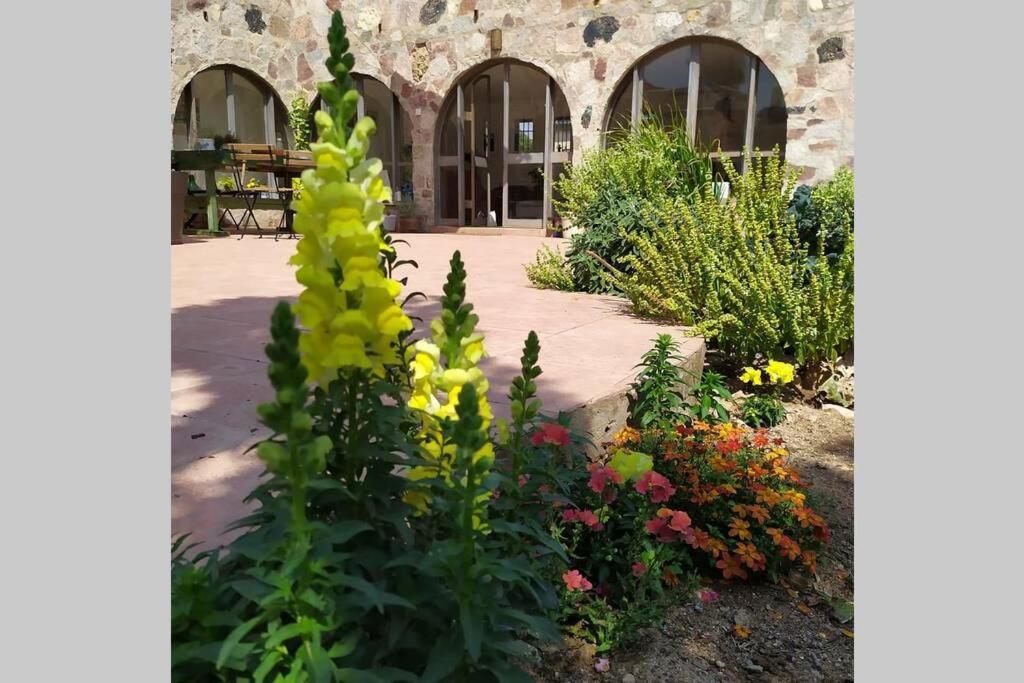 Eilat Stone - Patio אבן אילת - פטיו Appartement Buitenkant foto
