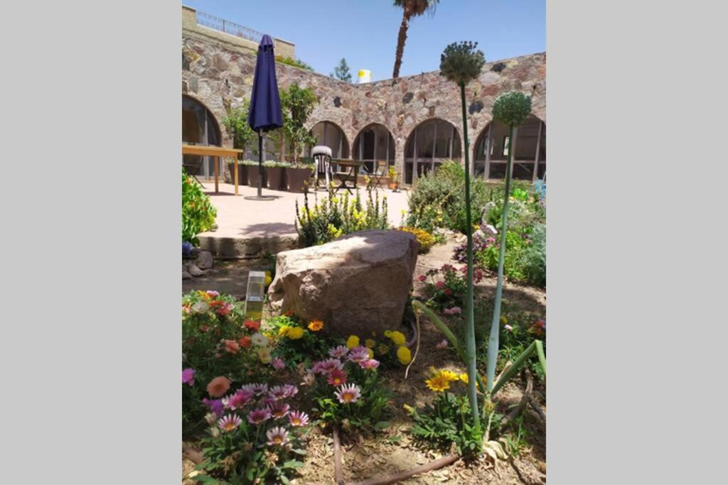 Eilat Stone - Patio אבן אילת - פטיו Appartement Buitenkant foto