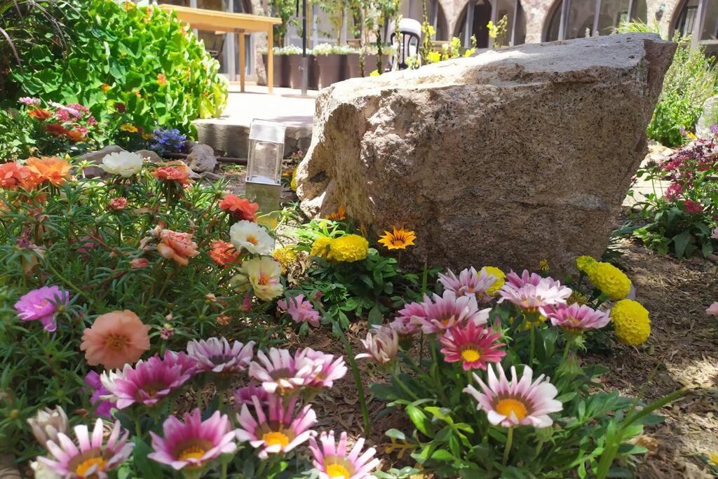 Eilat Stone - Patio אבן אילת - פטיו Appartement Buitenkant foto