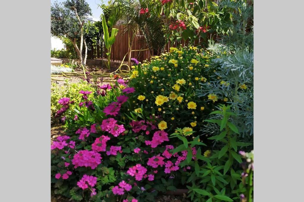 Eilat Stone - Patio אבן אילת - פטיו Appartement Buitenkant foto